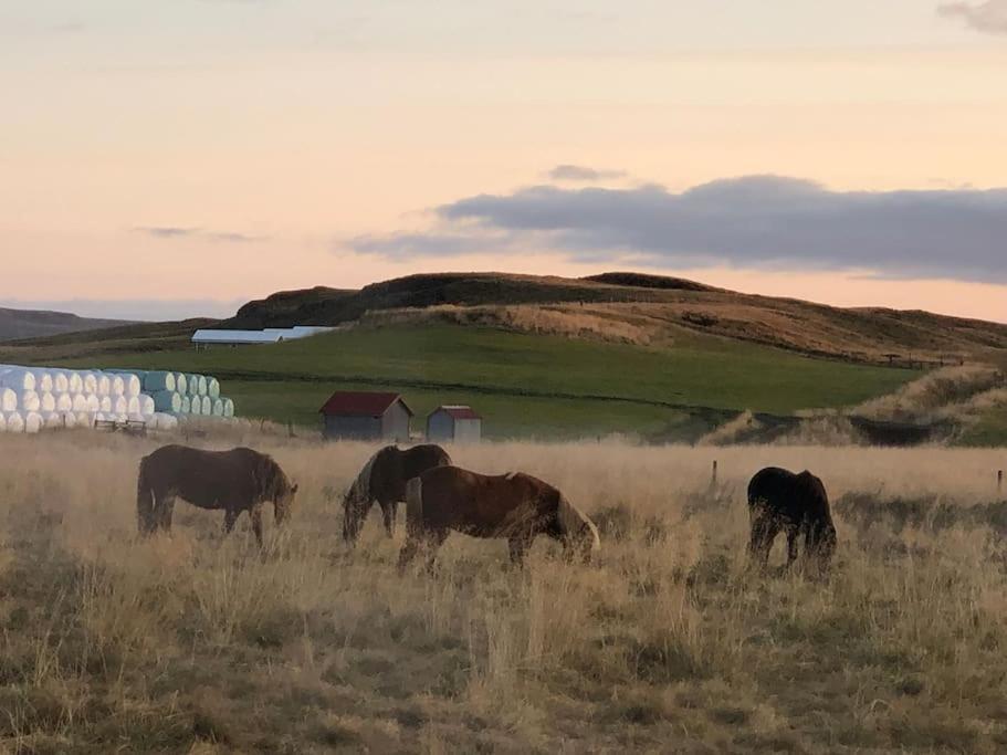 Eyvik Cottages - Private Hot Tub! Selfoss Zewnętrze zdjęcie